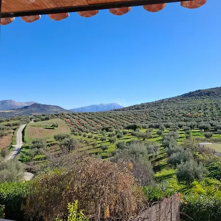 Hacienda B&B *